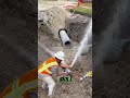 Heroes wearing safety helmets #funny