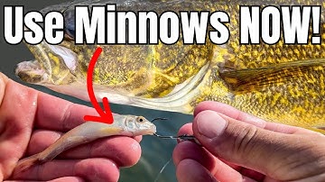 How To Fish Minnows for Fall Walleyes – The 3 Deadliest Presentations!