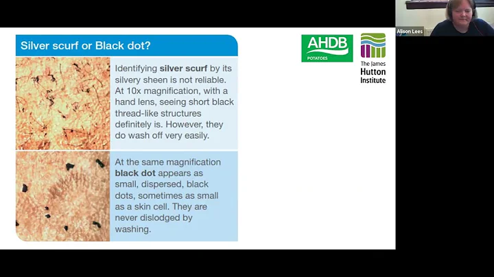 Webinar #28:  Potato Tuber Blemish Diseases: status and management