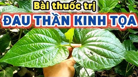 Bài thuốc trị Đau Thần Kinh Tọa, Đau Liên Sườn rất hay | Bảy Channel