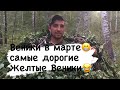 Банные Веники в марте😳| Желтые Веники|Демонтаж