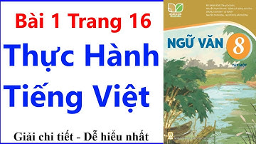 Ngữ Văn 8 Bài 1 Trang 16 | Thực Hành Tiếng Việt | Kết Nối Tri Thức