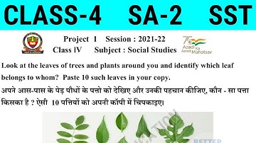 NDMC Class 4 SST Project Work || कक्षा 4 सामाजिक अध्ययन परियोजना कार्य || Class 4 SA2 Final Exam