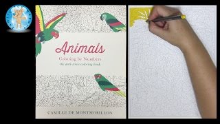 Animals Coloring by Number Adult Coloring Book Speed Color - Family Toy Report Animals Coloring by Number Adult Coloring Book Speed Color - Family Toy Report