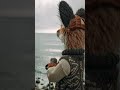 #funnyanimals #fox #blooper #aifail #golf #fail #funny #sports #golfing #ocean #lake #vacation #cute