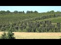 Farmers across the DMV are feeling the strain of severe weather this year