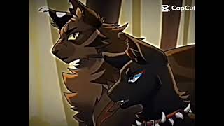 Dark side Warrior cats