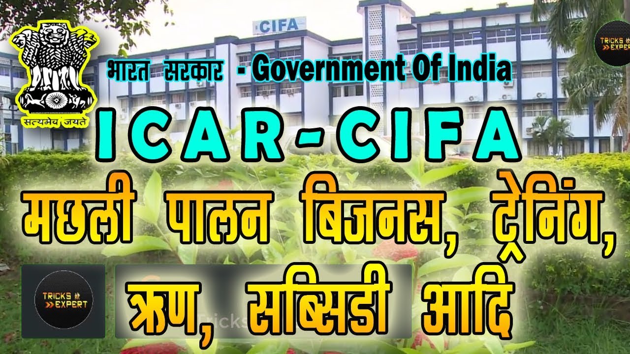 Fish Farming Govt. Institute ICAR CIFA - मछली पालन बिज़नस की सभी जानकारी यहाँ से मिलता हैं