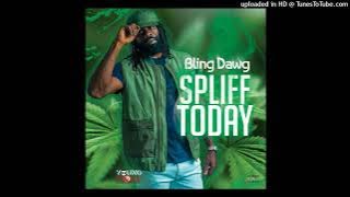 Bling Dawg - Spliff Today [YoungPow Productions] (April 2024)