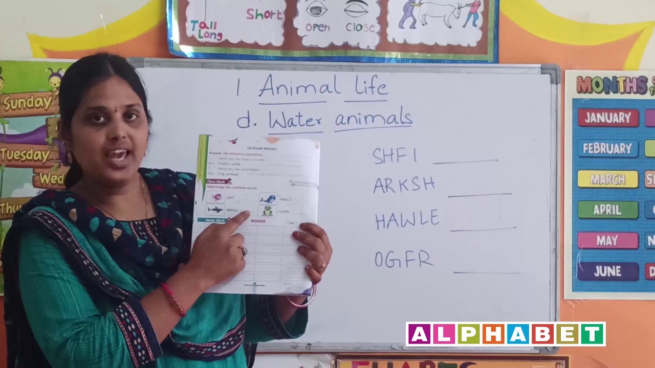 Water Animals UKG YouTube