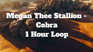 Megan Thee Stallion - Cobra - 1 Hour Loop