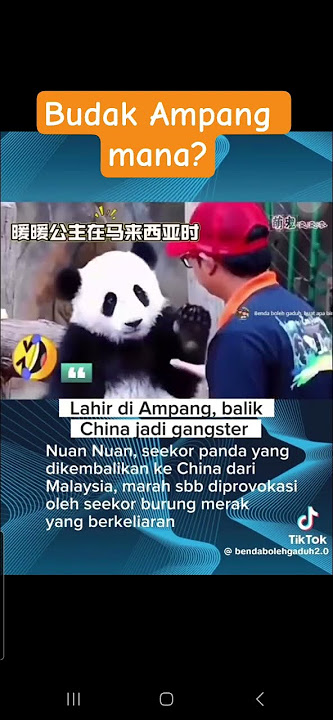 Panda Malaysia Jadi Gangster Kat China