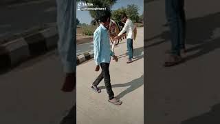 Vishal waghmare ghode wala seloo