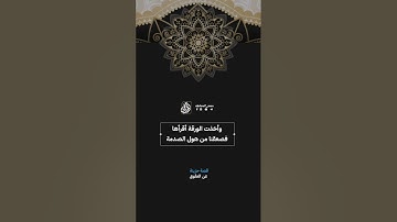 قصة حزينة  عن العقوق :بصوت 🖤🥀#القارئ_عبدالرحمن_احمد
