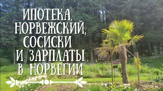 Ответы на вопросы. Сосиски, зарплаты, недвижимость и норвежский язык