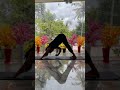 Breathe. Stretch. Strengthen. 6 ways to flow through Downward Dog.    #downwarddog #restorativeyoga