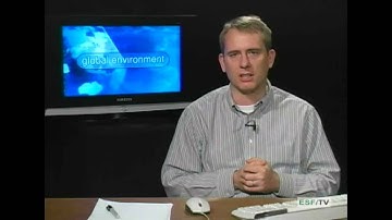 Global Environment - Hunting and Gathering (part 1)