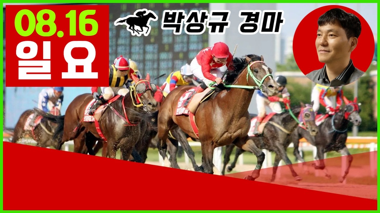 2026년 8월16일 일요 경마, 방송 보신분들 모두 좋은 결과 있기를 기원합니다.