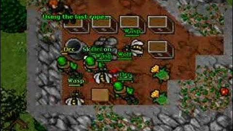 Rookgaard Traps - Rookgard Unit