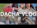 DACHA VLOG | лето 2020 дневник