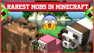 TOP 5 RAREST MINECRAFT MOBS ( IN HINDI ) EXPLAINED BY SUPER EXPLAINED