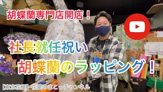 【東京花屋】胡蝶蘭専門店開店！社長就任祝いに贈る！胡蝶蘭のラッピング！