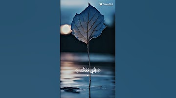 قال لا تخافا إنني معكما أسمع وأرى سورة طه
