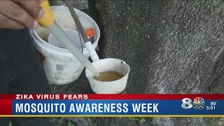 Pinellas county leaders hold mosquito control awareness meeting in Clearwater