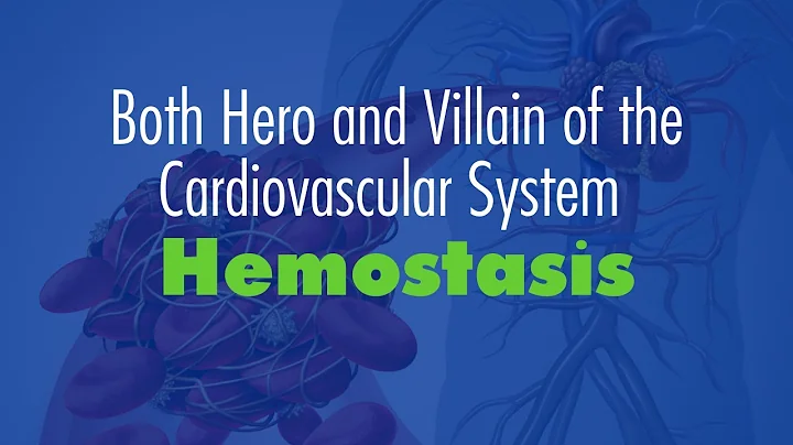 Hemostasis:  Both Hero and Villain of the Cardiova...