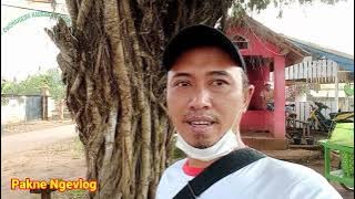 sedang dalam suasana cerah