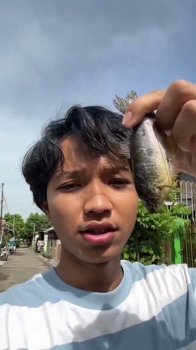 Mas nizar nyari ikan part 2