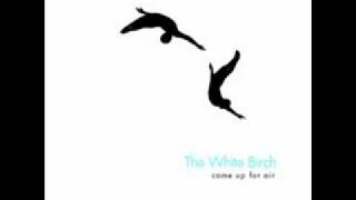 Video thumbnail of "White Birch - We are not the ones"