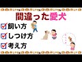 犬 散歩をしない犬の飼い方とは？ 衝撃的これを知らないで見ないと損する！