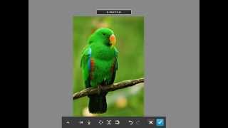 Quick Compositing Concepts with Photoshop Touch