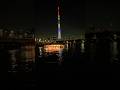 Tokyo SkyTree View #japan #shorts #views_viral_video_subscribers_grow