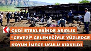 Cudi Eteklerinde Asırlık \