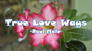 Video thumbnail of "True Love Ways - Raul Malo cover (with lyrics)"