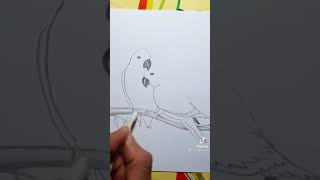 طريقة رسم طائر الببغاء