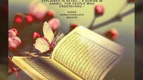 تلاوه كرديه من صلاه العشاء بصوت القارئ احمد محمد الصيعري من سورتي ال عمران والنباء