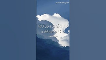 سورة آل عمران ( ١٦٩ - ١٧١) / ياسر الدوسري