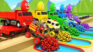 Color Balls & Sing a Song! | Sing Bingo and Wheels On the Bus songs  and learn colors easily