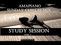 Amapiano sunday chillas mix 14 " STUDY SESSION part 3" by D