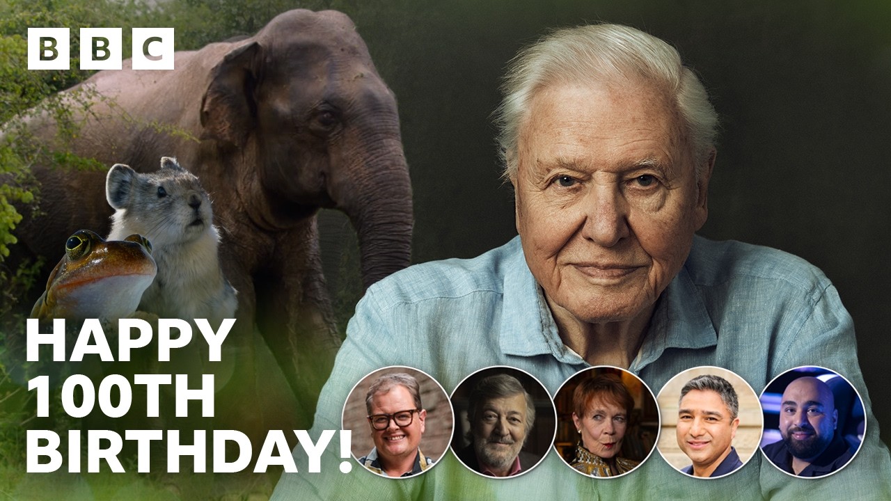 "Famous" animals celebrate Sir David Attenborough's 100th birthday - BBC