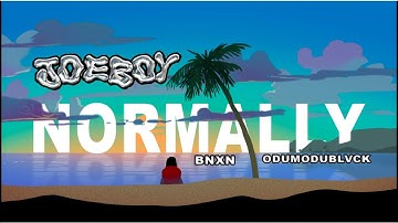 Joeboy - Normally (feat. BNXN & Odumodublvck) [Official Visualizer]