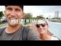 Wild Life In Panama City - Ep. 94 RAN Sailing