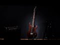 Ektomorf - Fear Me (guitar solo)