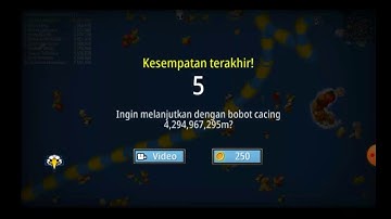 CHEAT WORM ZONE TANPA ROOT DIJAMIN TOP 1
