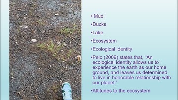 ECE6002 assignment 1