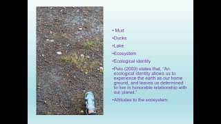 ECE6002 assignment 1