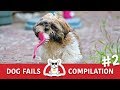 DOG FAILS AND FUNNY MOMENTS COMPILATION TRY NOT TO LAUGH CHALLENGE